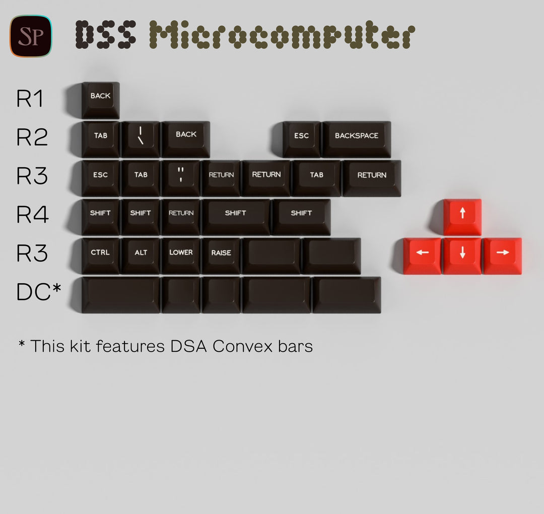 DSS Microcomputer