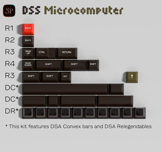 DSS Microcomputer