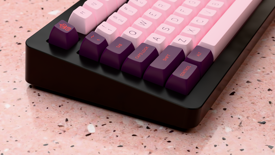 SA Grand Budapest Preorder