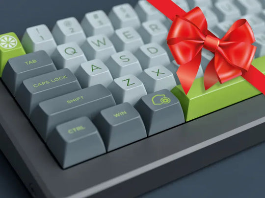 SA Lime Holiday Bundle